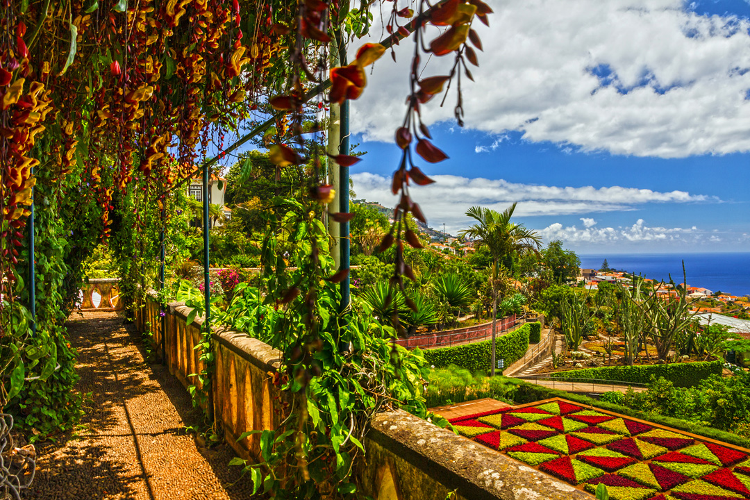 Fly en Drive Romantisch Madeira