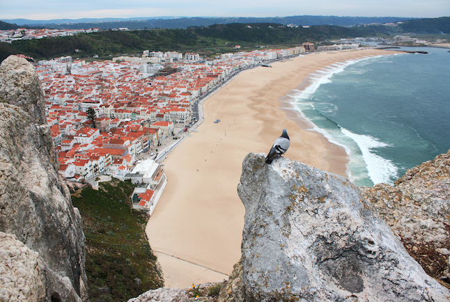 Fly Drive Lissabon naar Porto via de kustroute 2